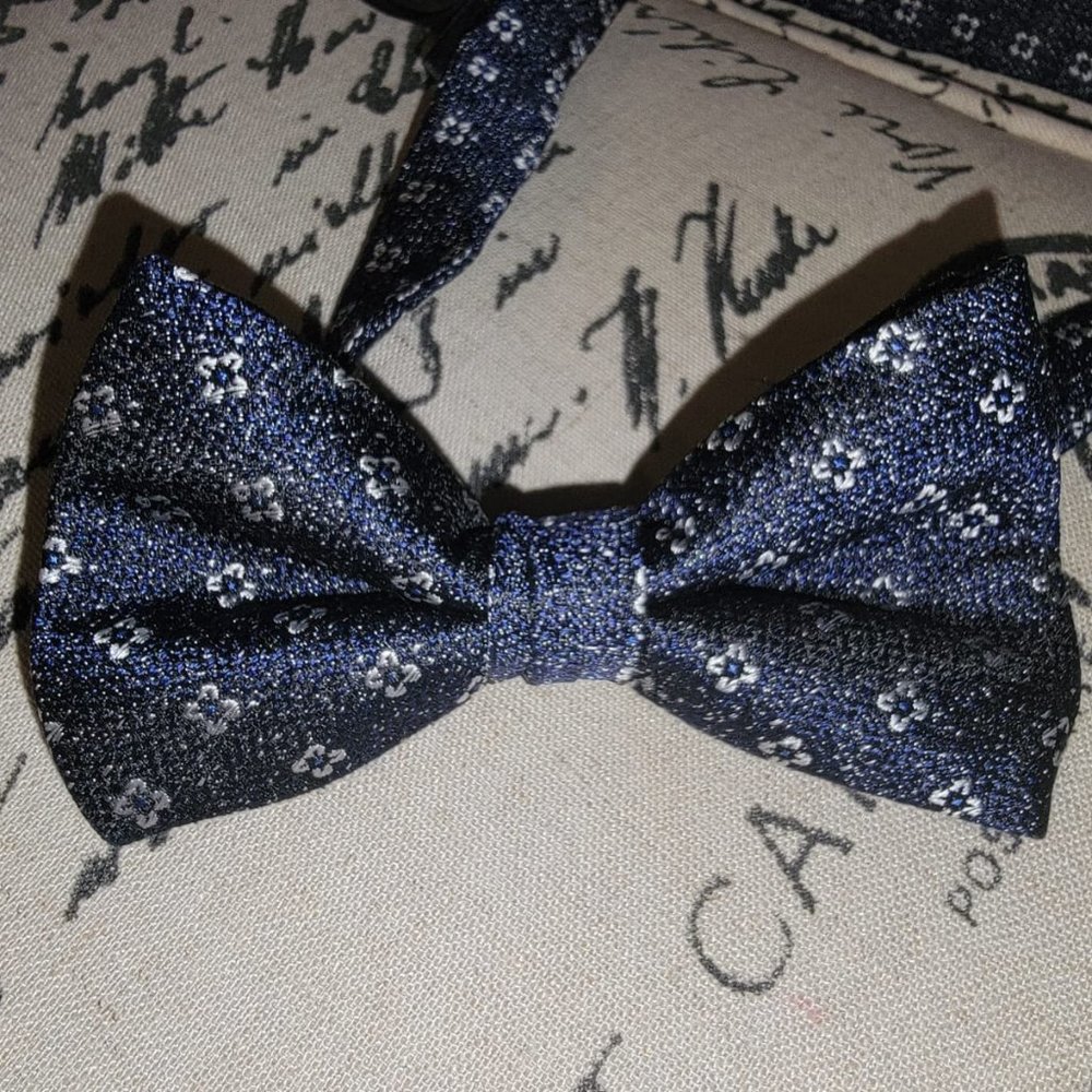 Ted Baker Bow Tie - 100% Mulberry Silk